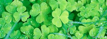 Shamrocks